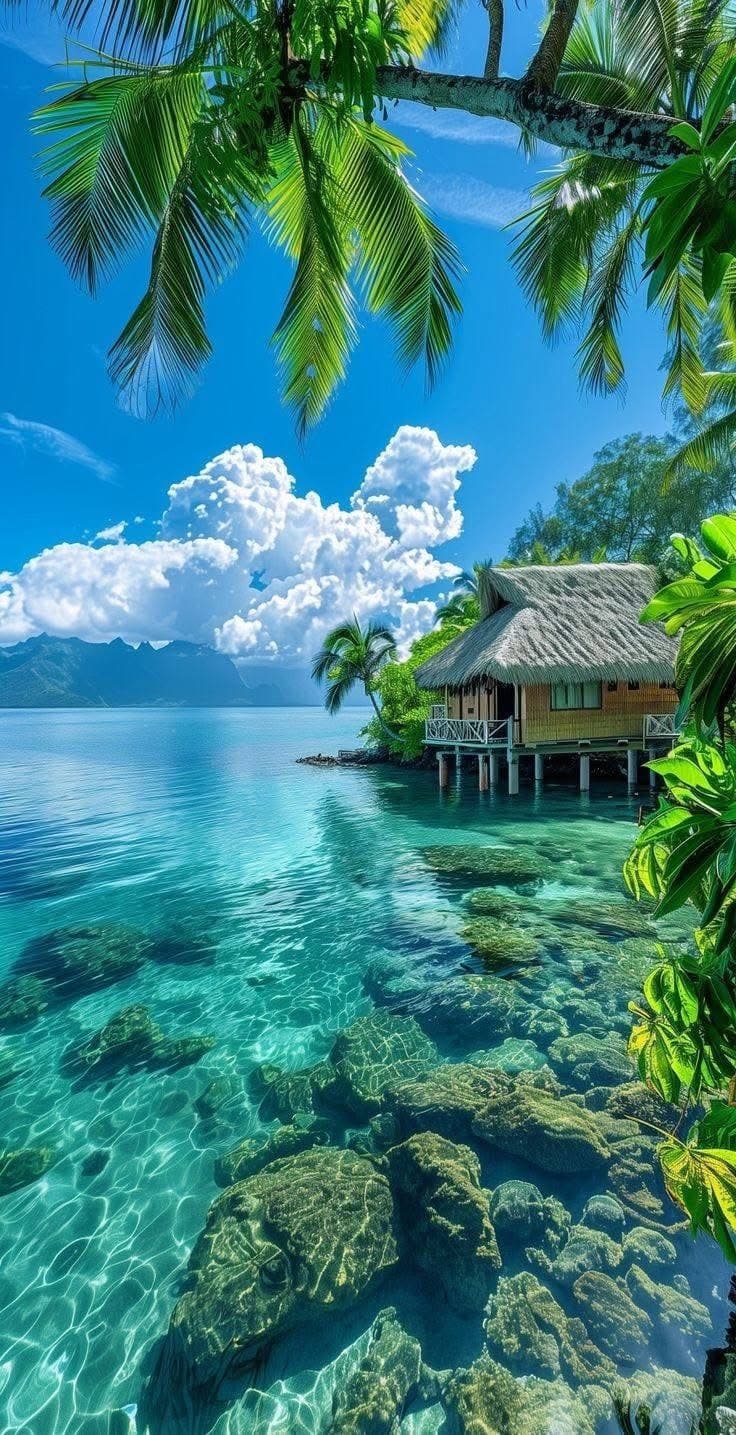 Perfect holiday